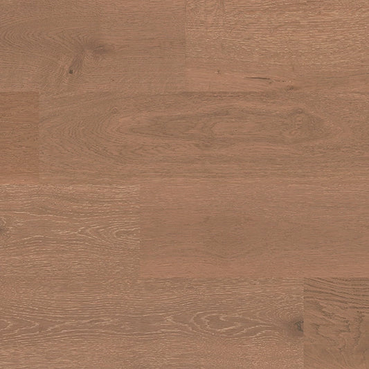 Antilles Saint Johns