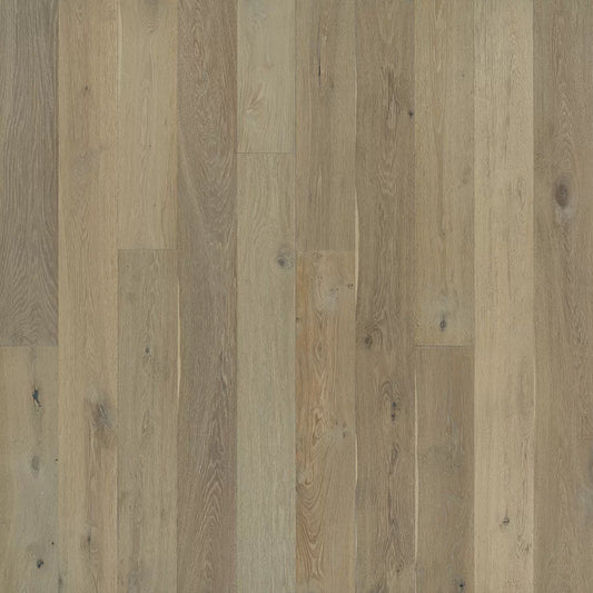 White Cap Oak Ventura