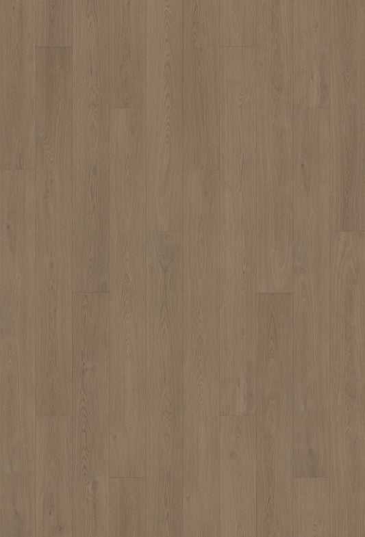 Watershed Shannon Oak