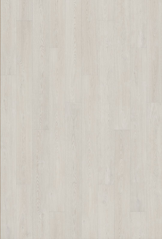 Watershed Yellowstone Oak