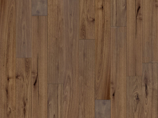 American Walnut Vernal