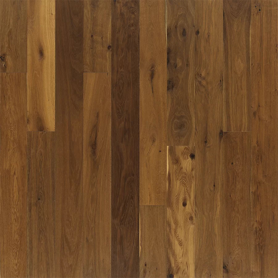 Mangrove Oak Ventura